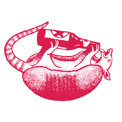 De Nada Cantina Sticker