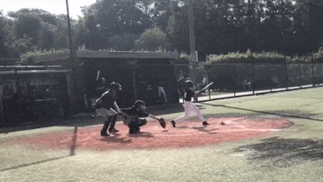 Batting Black Rickers GIF by Black Rickers Baseball Softball Club