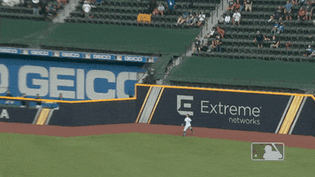 Catching Major League Baseball GIF by MLB