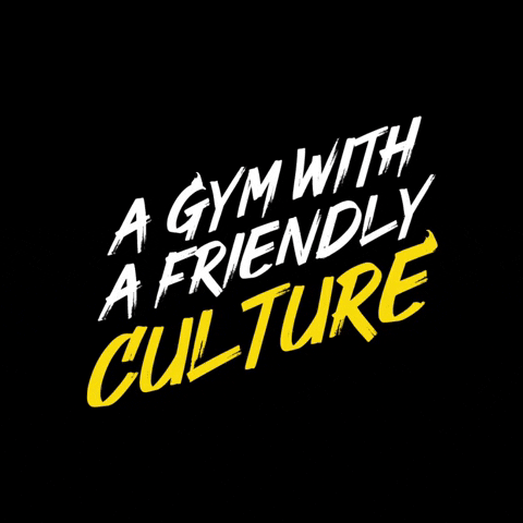 Culture247 culture gymculture GIF