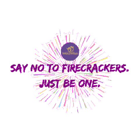 Fireworks Diwali Sticker by WedWise