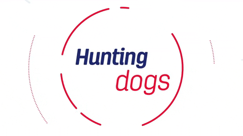 hunting dog meaning, definitions, synonyms