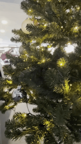 Christmas Tree GIF by PaddlUp