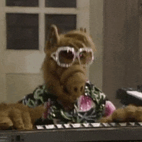 80S Sunglasses GIF by absurdnoise