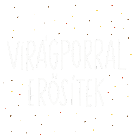 Biksi Méhészet Sticker