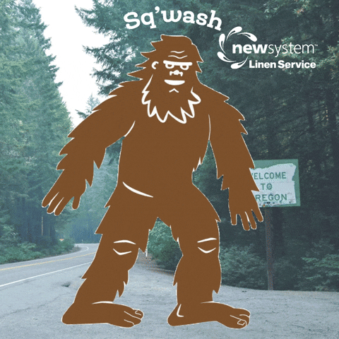 Bigfoot Sasquatch GIF by NewSystemLaundry