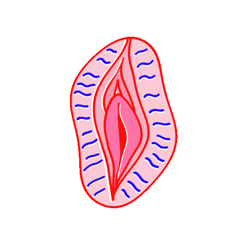 Canestenau Sticker