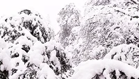 yosemite national park snow GIF