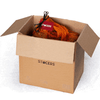 200.gif?cid=fc005b087cad3daafafbb2c2d06383a72f3dd3e93bdad191&rid=200.gif&ct=g