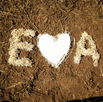 E Ea GIF