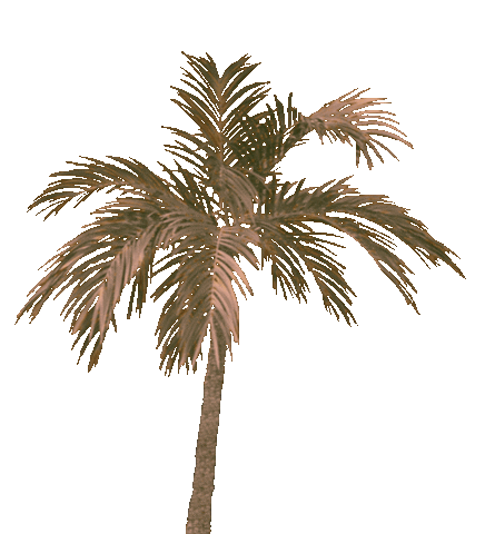 Palm Tree Love Sticker by Jonas Blue