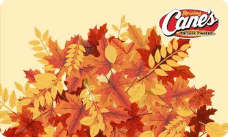 Fall Puppy GIF by Raising Cane's