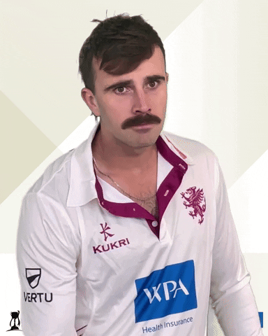 Sport Umpire GIF by Somerset County Cricket Club