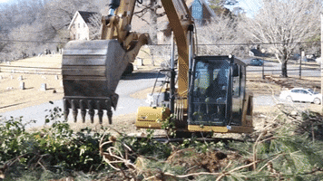 Cat Digging GIF by JC Property Professionals