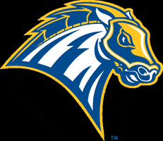 UNHChargers chargers unh new haven unh chargers GIF