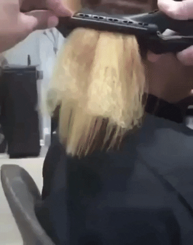 giphy.gif?cid=790b7611334fd50f496683146edc14246113caa25df8d9a3&rid=giphy.gif&ct=g