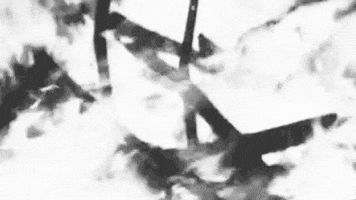 200.gif?cid=fc005b084e7758da602b21b5bacc8915c97131ba77dbaa45&rid=200.gif&ct=g