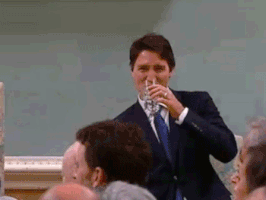 Justin Trudeau GIF
