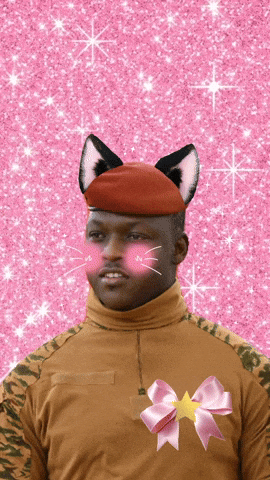 Burkina Faso Mali GIF