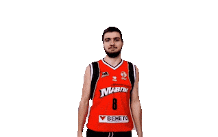 Basketball Sticker by Cherkaski Mavpy