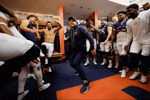 Da Bears Instagram GIF