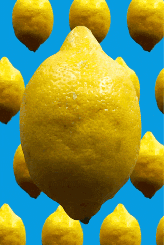 Lemonis GIFs - Get the best GIF on GIPHY