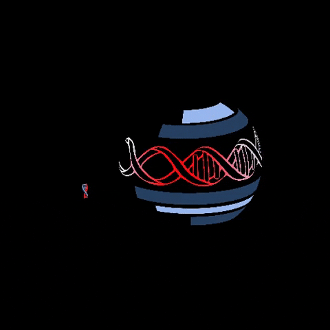 KUBiC GIF
