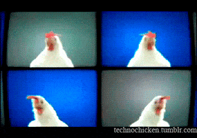 techno chicken GIF