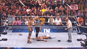 All Elite Wrestling GIF