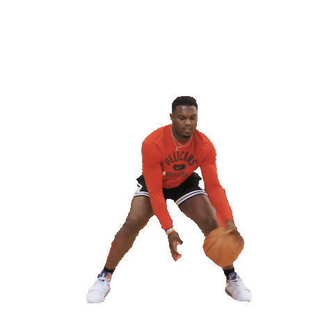 New Orleans Pelicans Basketball Sticker by Gatorade