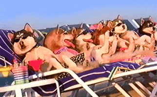 Relaxed Family Vacation GIF