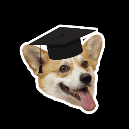 Bulve GIF by Akvile Gudaityte IKI