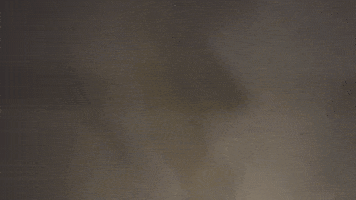 GIF by Carl Knickerbocker