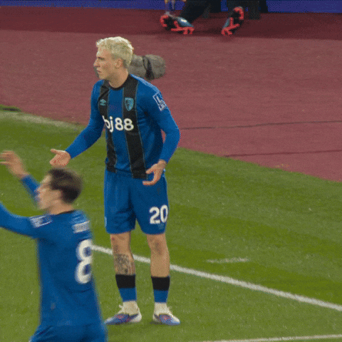 Premier League What GIF by AFC Bournemouth