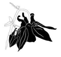 Sticker Flower Sticker