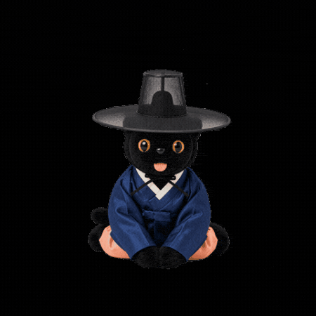 Cat Korea GIF by comfortseoul