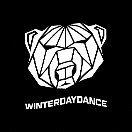 Winterdance GIF by AMBU-Tech AG