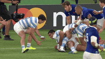 France Sport GIF by Rugby World Cup