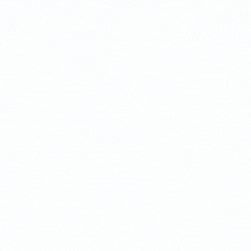 Twiniversity GIF