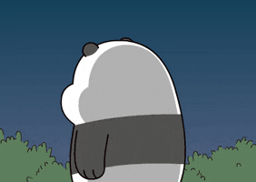BC Card GIF