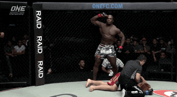 Power Mma GIF by ONE Championship