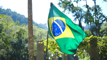 Flag Brazil GIF by Greenplace TV