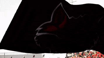 Red Wolves Pack GIF by Arkansas State Athletics