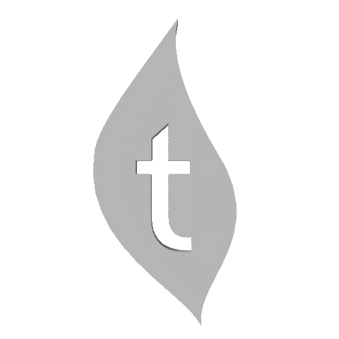 Terra Kendama Sticker