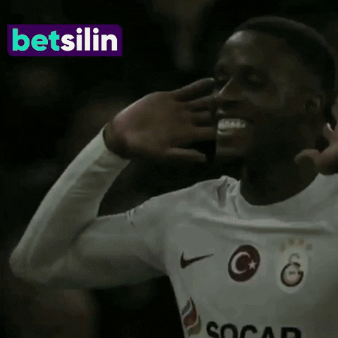 Gs Galatasaray GIF by betsilin