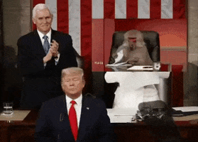 President Trump GIF