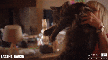 Best Friends Love GIF by Acorn TV