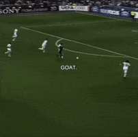 World Cup Argentina GIF