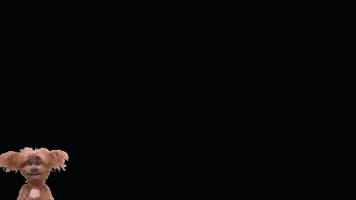 Frese Wolff GIF