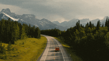 Reminders of Him Movie GIF